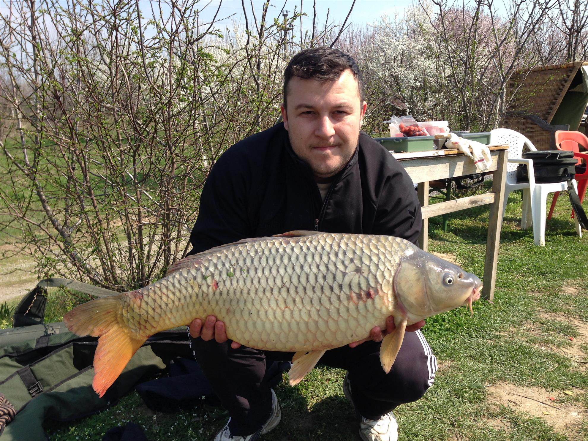 balta oltenitei - img0308.JPG